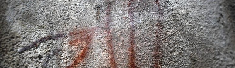 Cópia de DSC_3636(1)